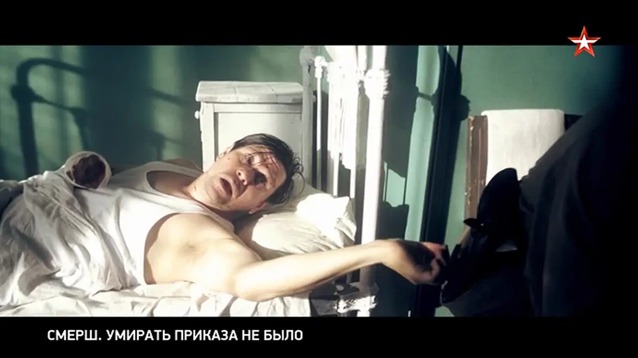 Zvezda live