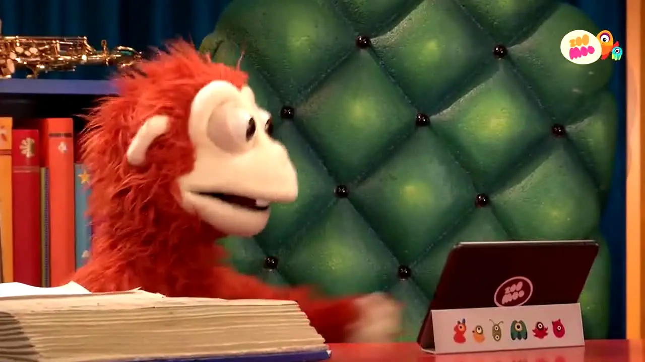 Zoo Moo live
