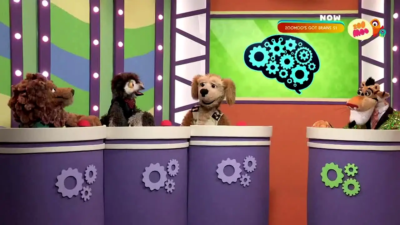 Zoo Moo in diretta