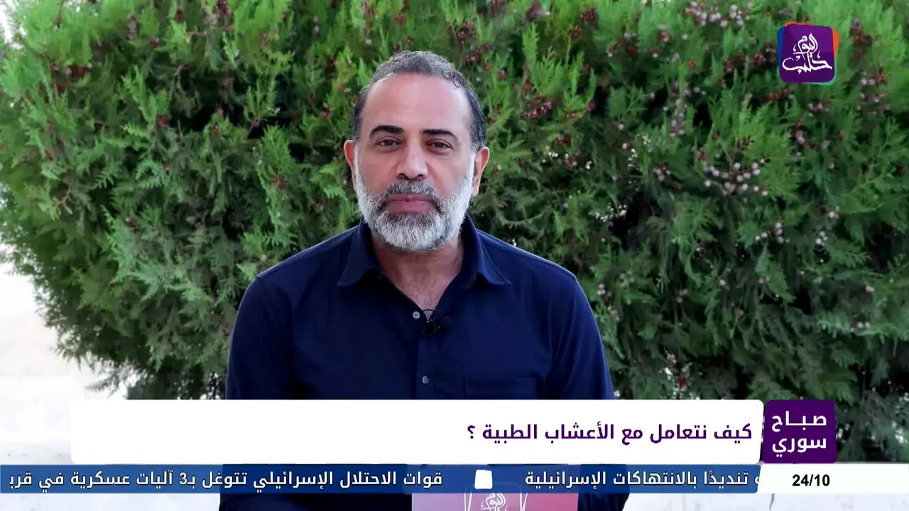 Halab Today TV in diretta