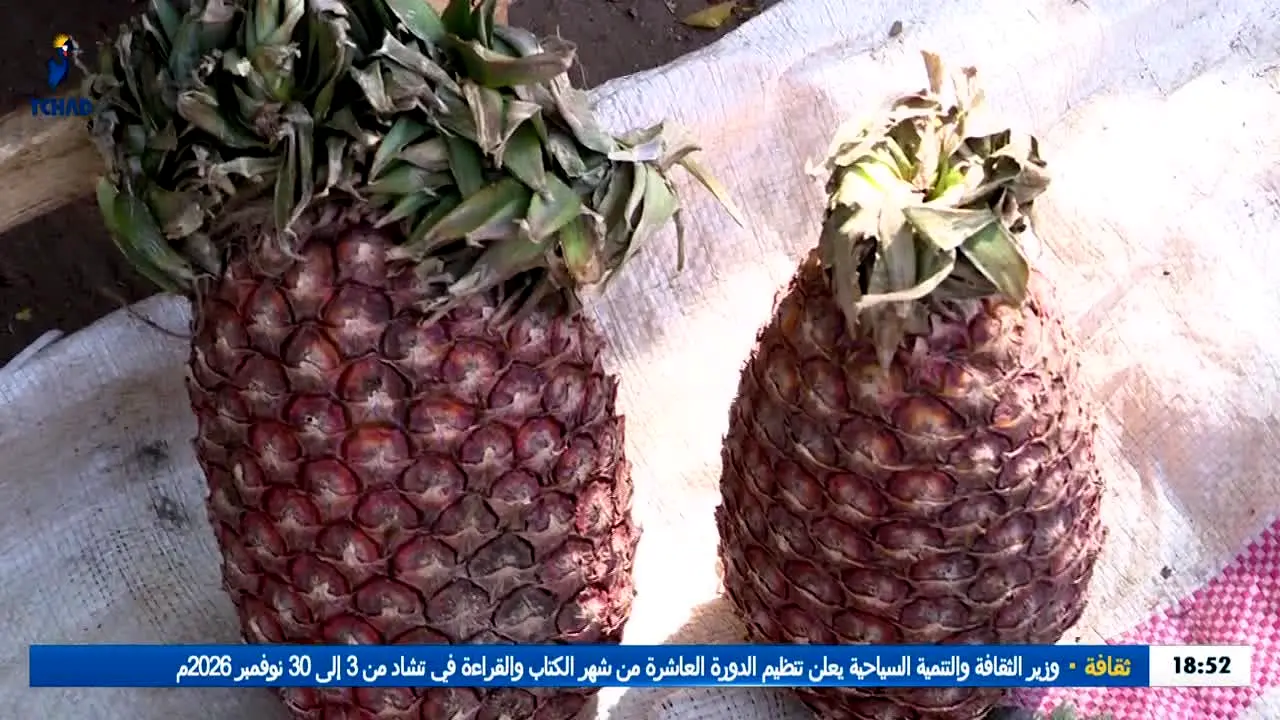 Tele Tchad live