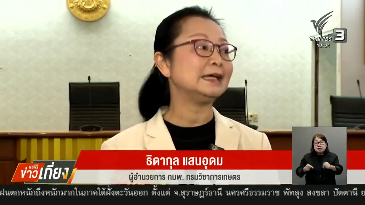 Thai PBS en vivo