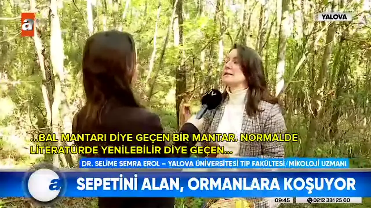 ATV live