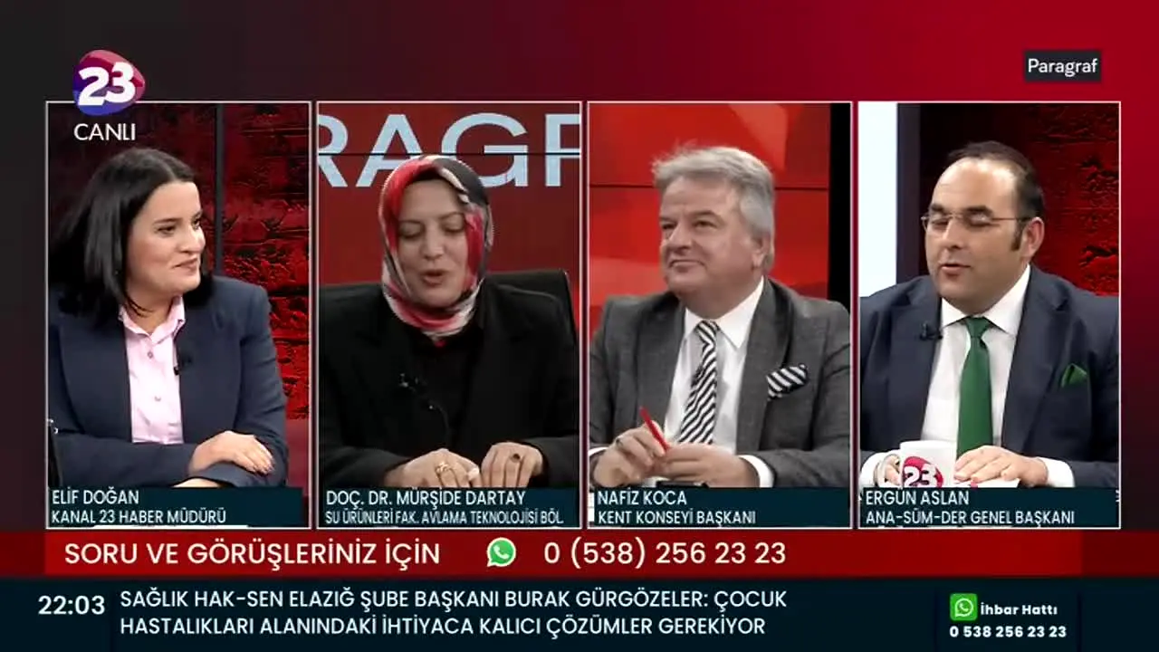 Kanal 23 ao vivo