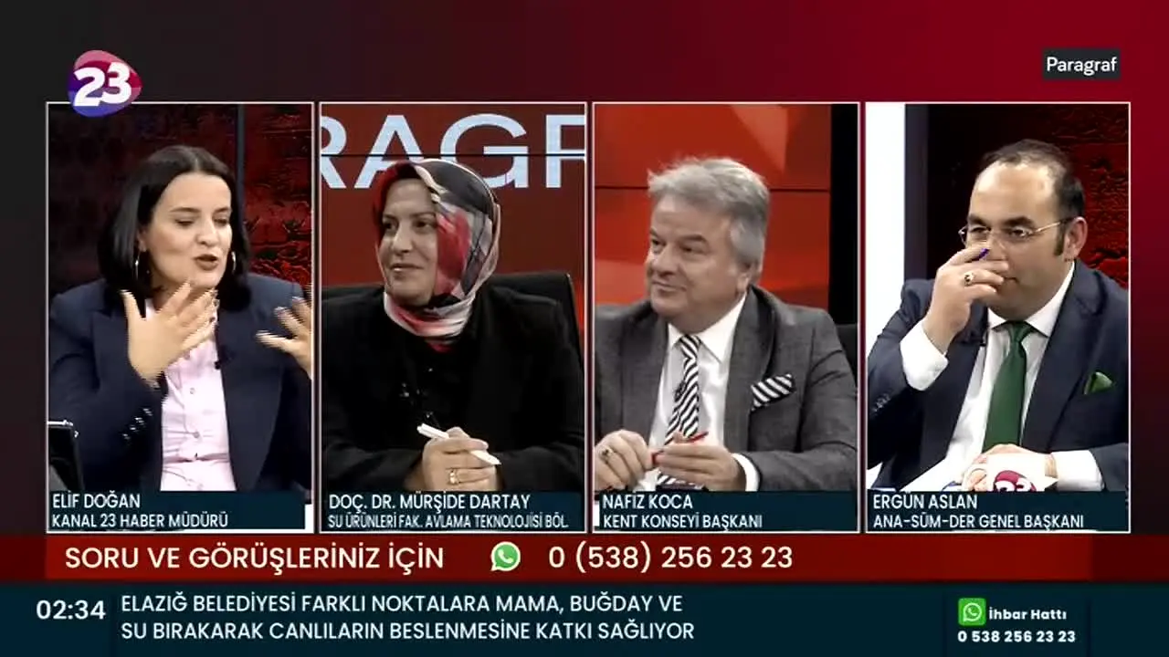 Kanal 23 en vivo