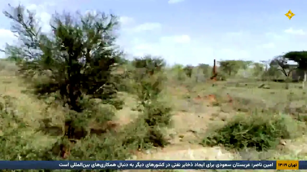 Setareh TV live