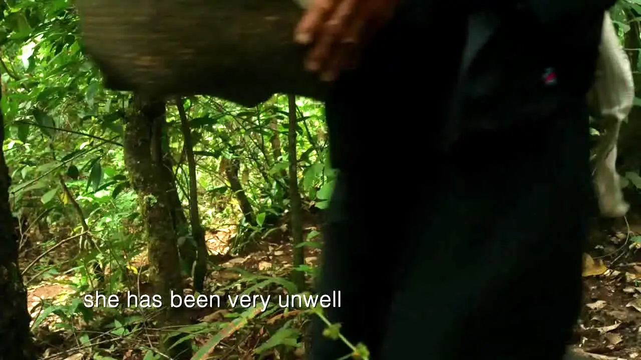 BBC Earth live