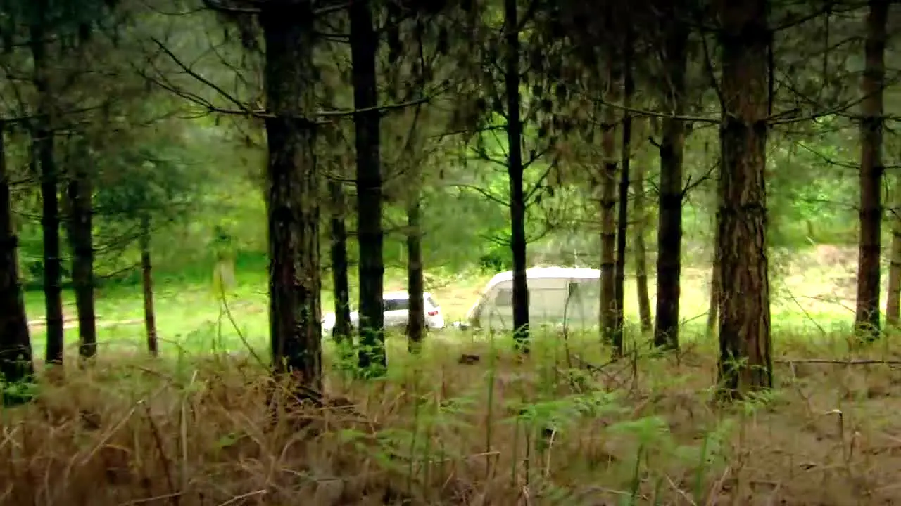 Top Gear live