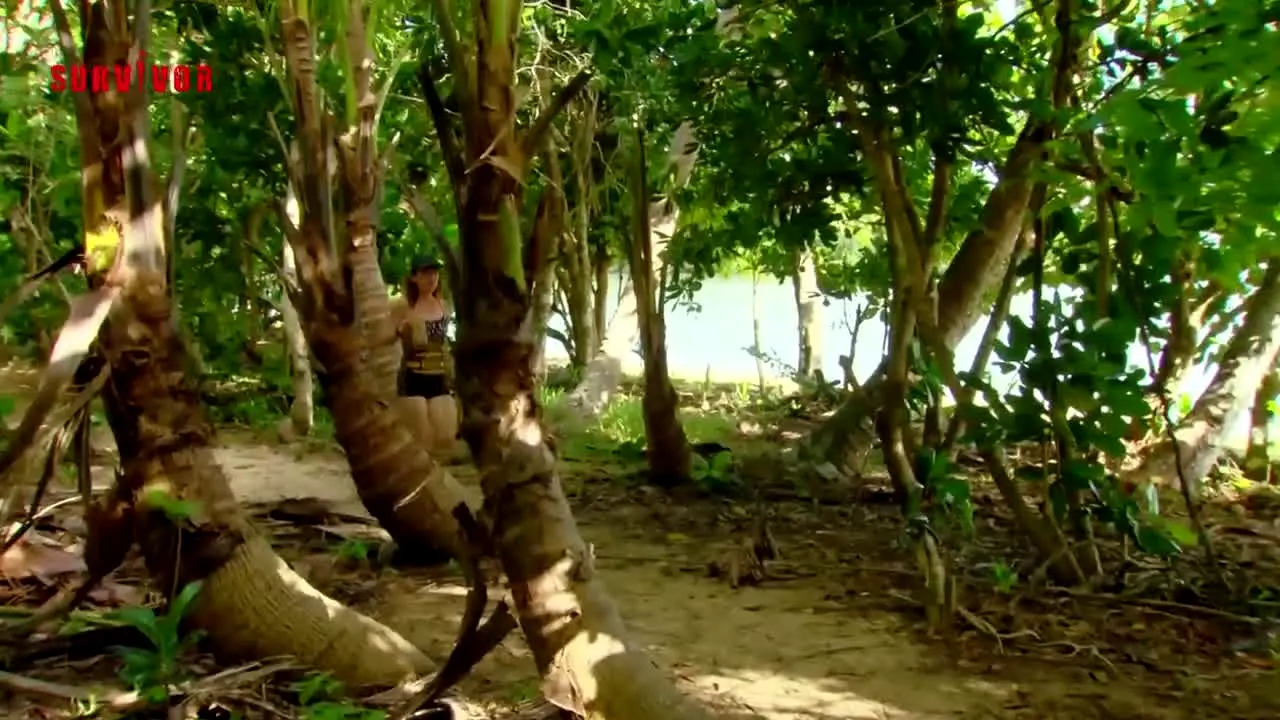 Survivor live