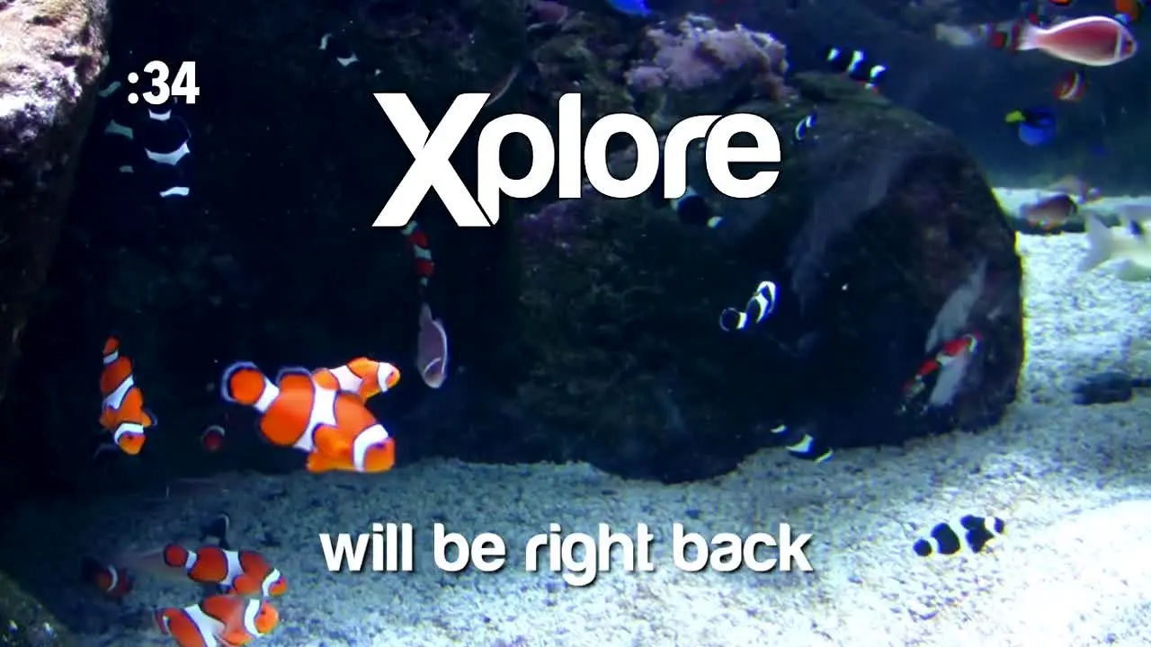 Xplore ao vivo