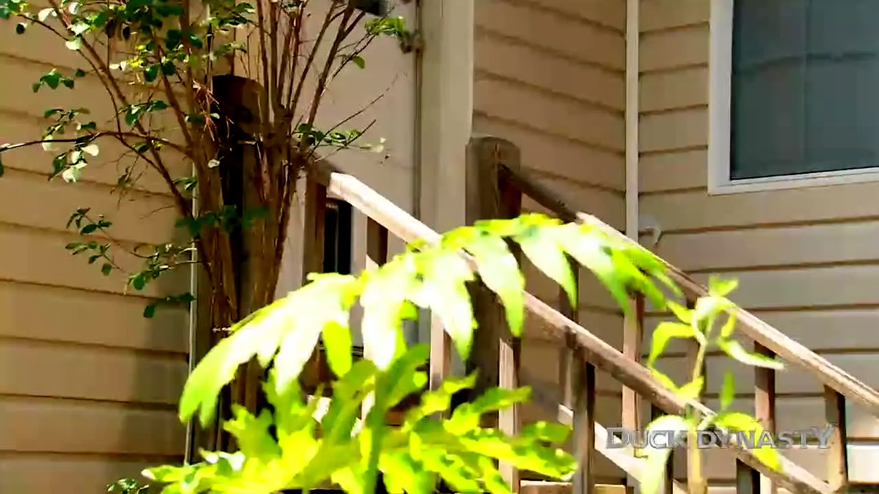 Duck Dynasty live