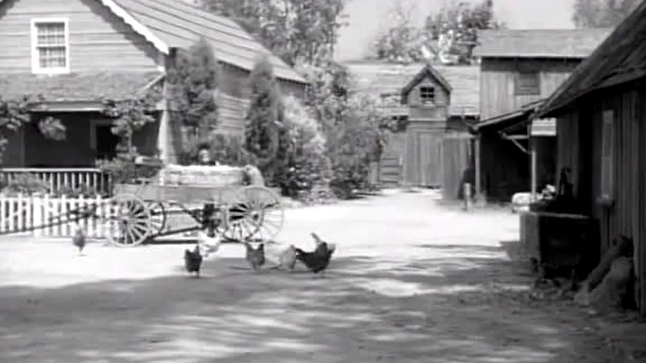 FilmRise Westerns live