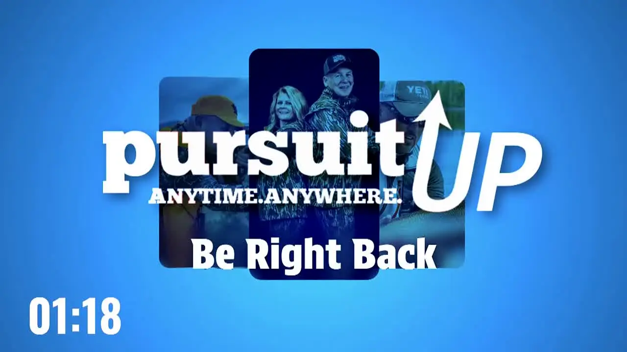 PursuitUP na żywo