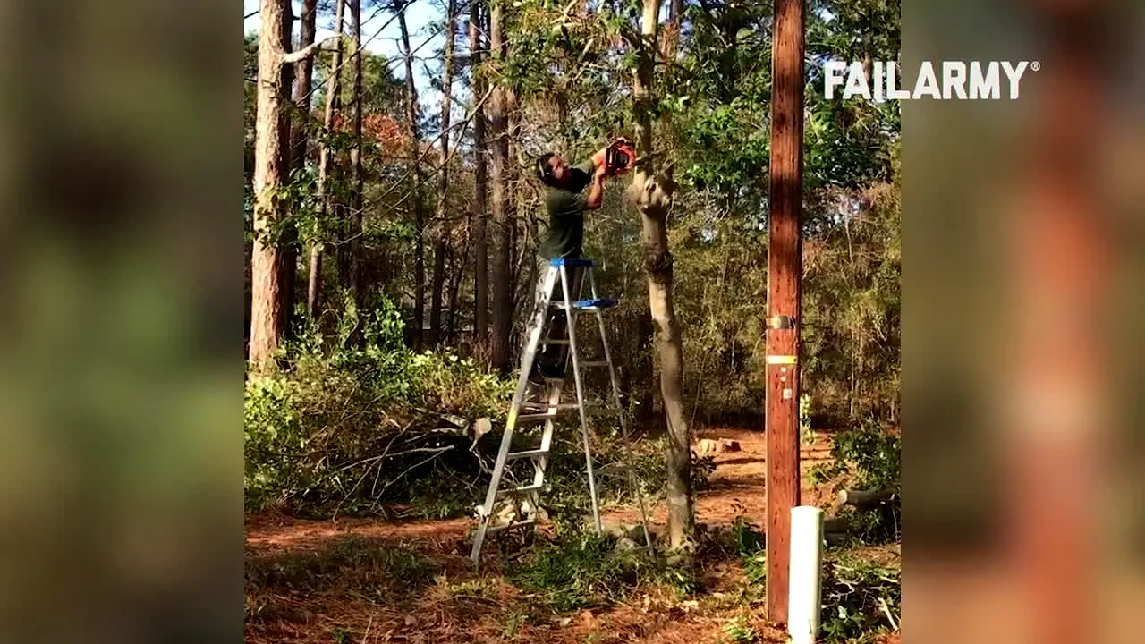 Failarmy International ao vivo