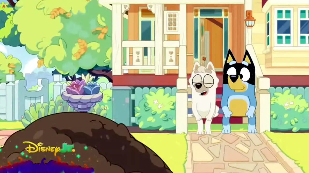 Disney Junior na żywo