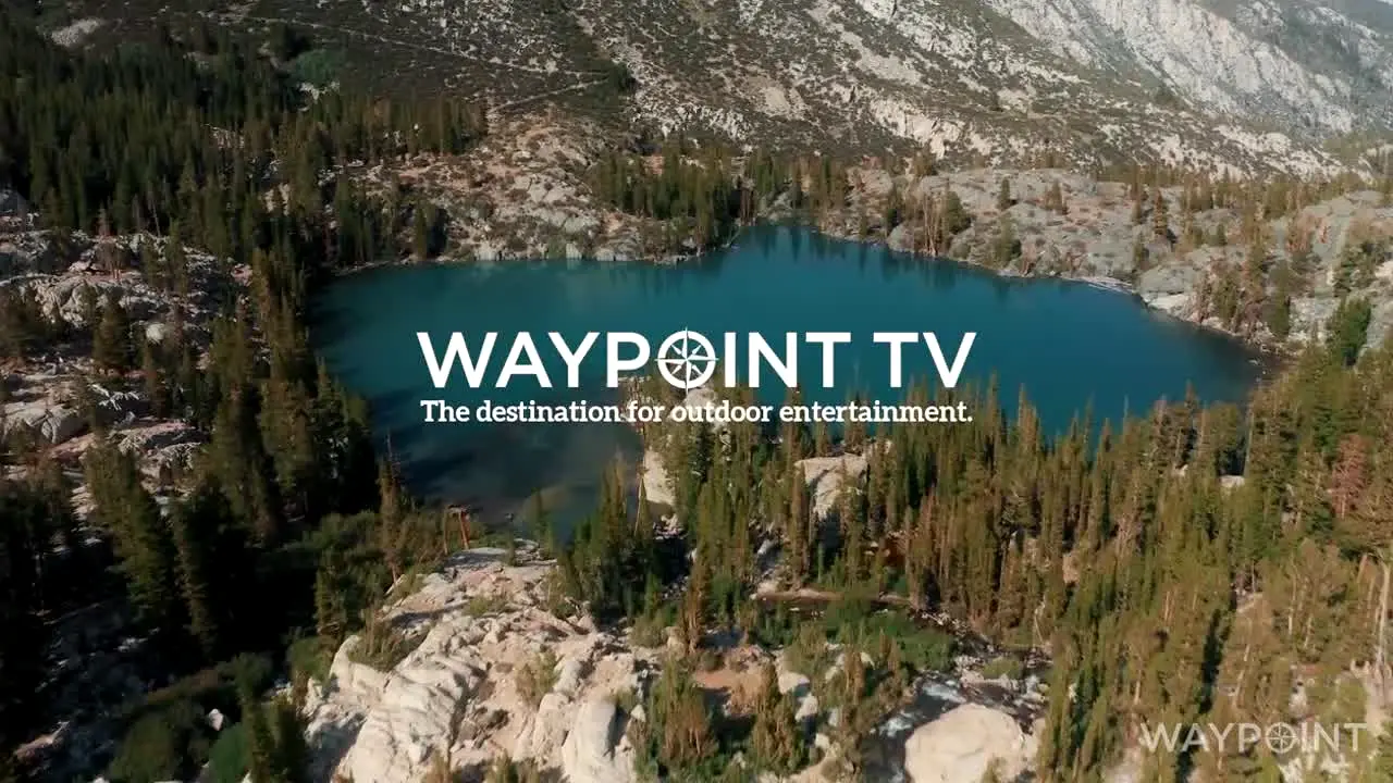 WaypointTV en direct