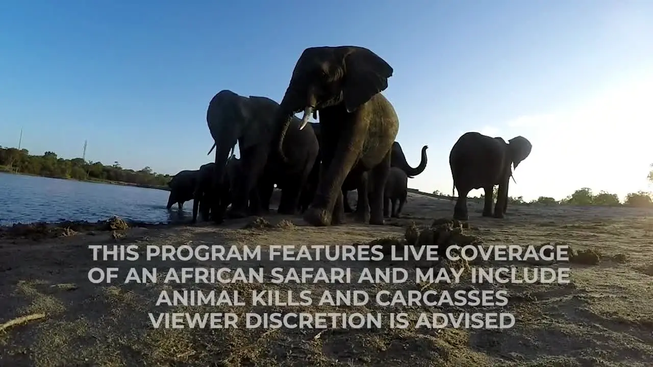 WildEarth in diretta