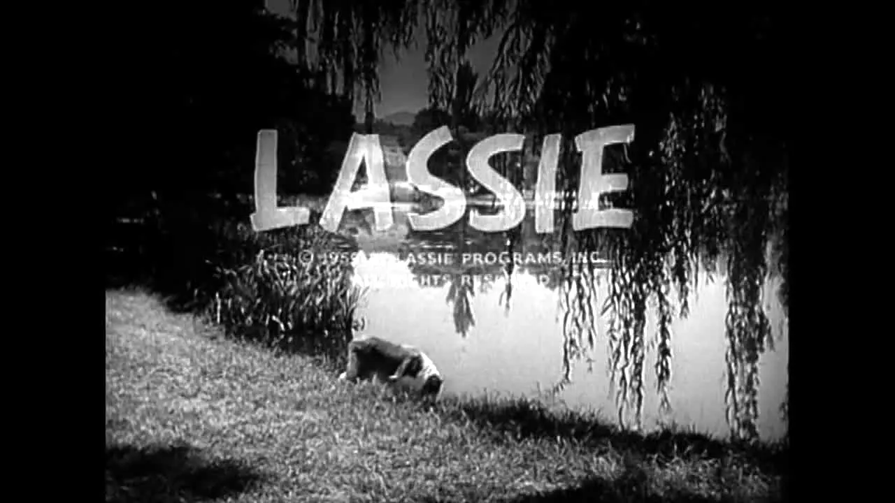 Lassie en direct
