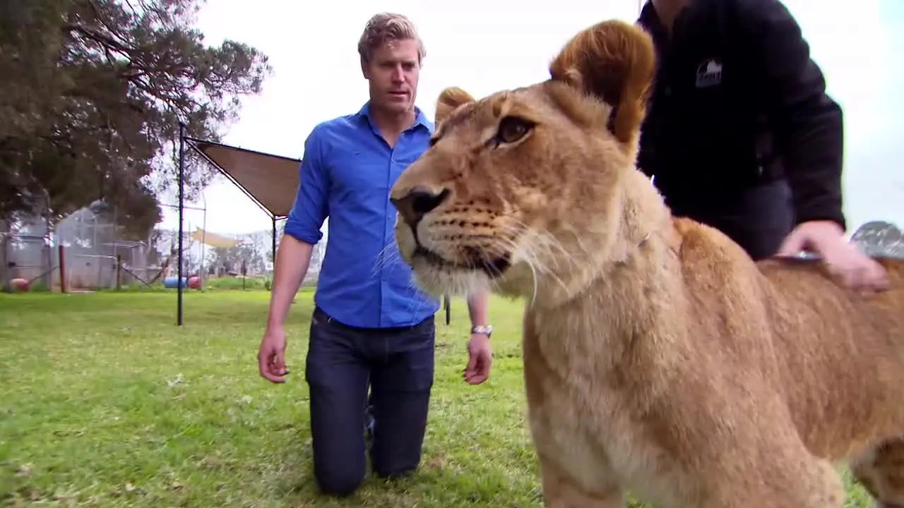 Bondi Vet live