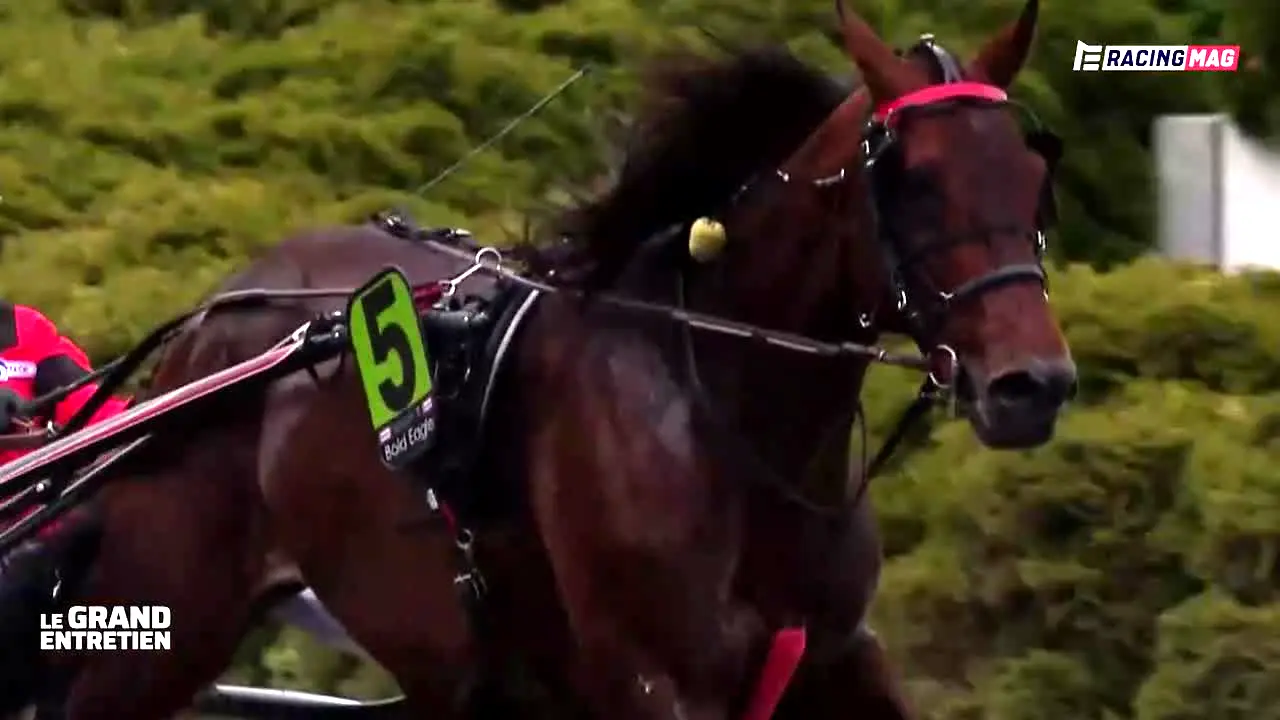 Equidia Racing Mag live