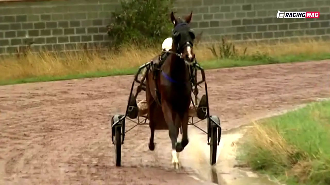 Equidia Racing Mag en vivo