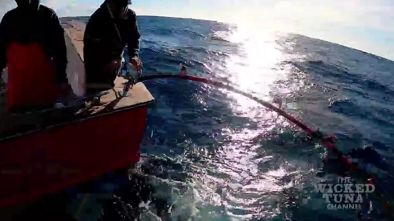 Wicked Tuna in diretta