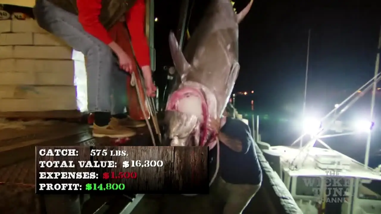 Wicked Tuna ao vivo