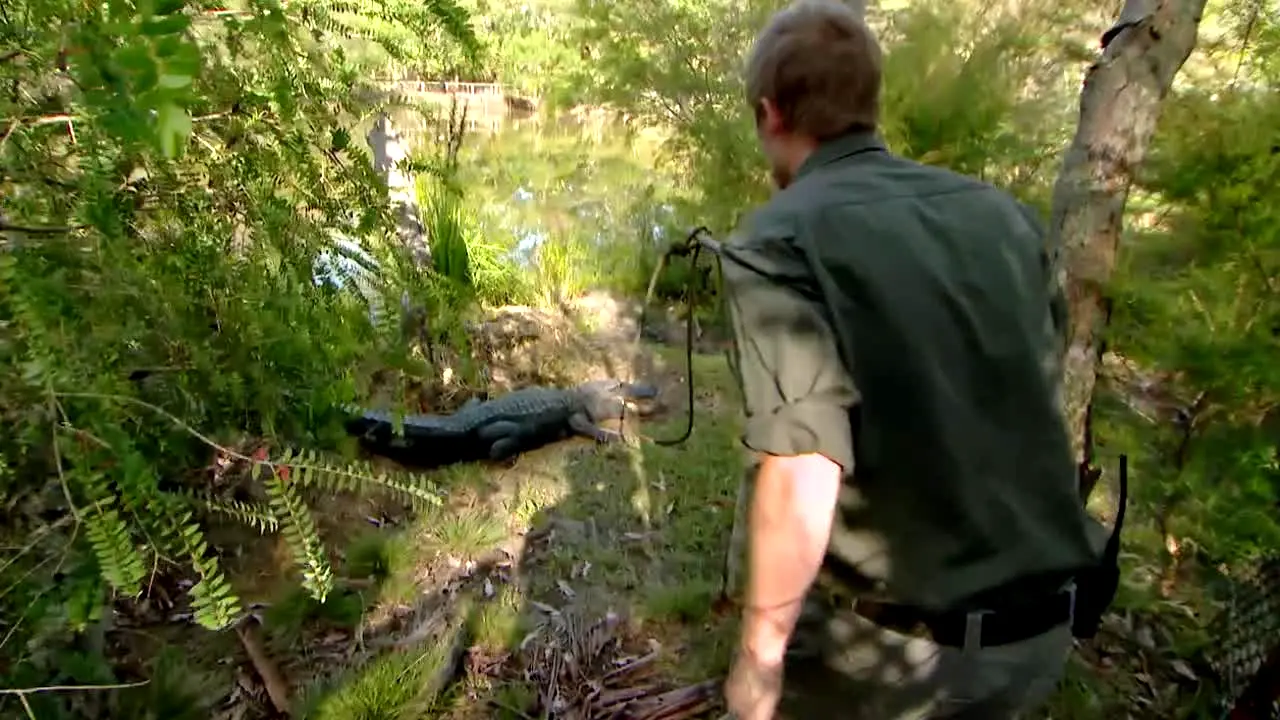 Life Downunder in diretta