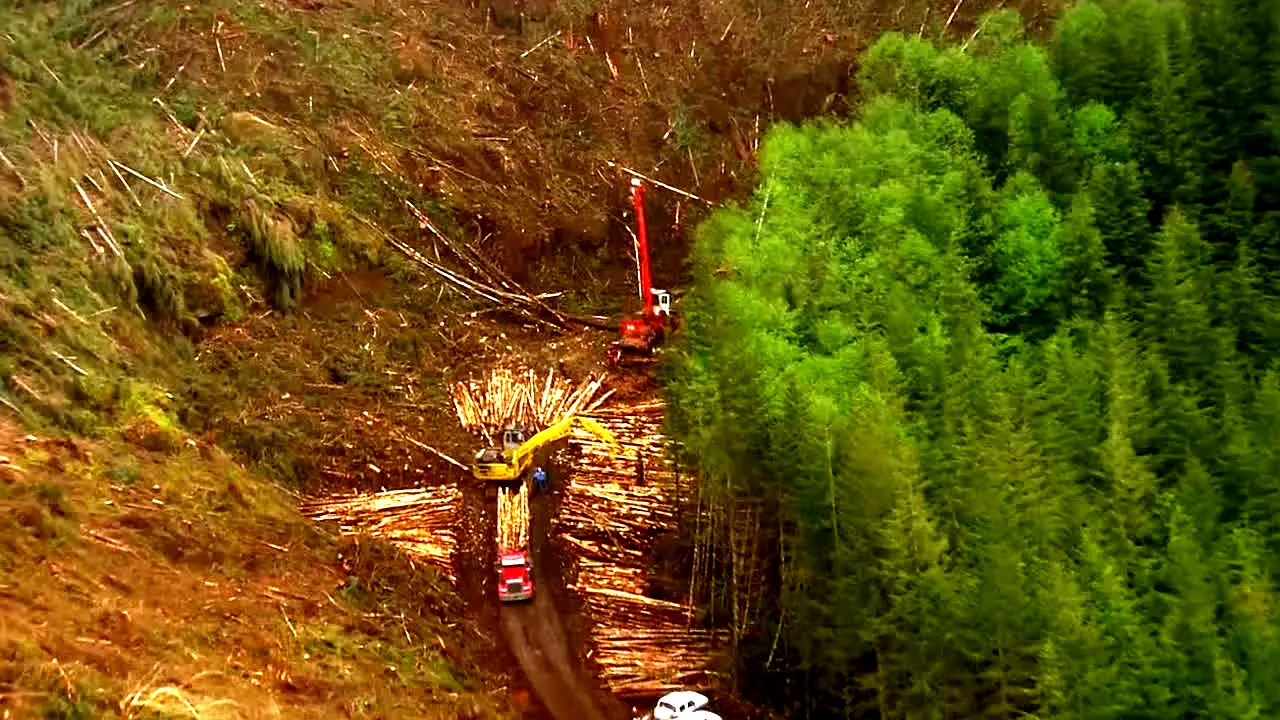 Ax Men live
