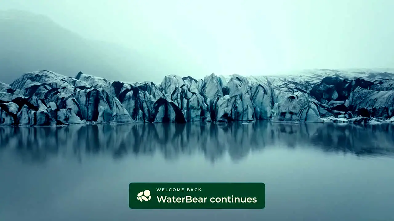 Waterbear en direct