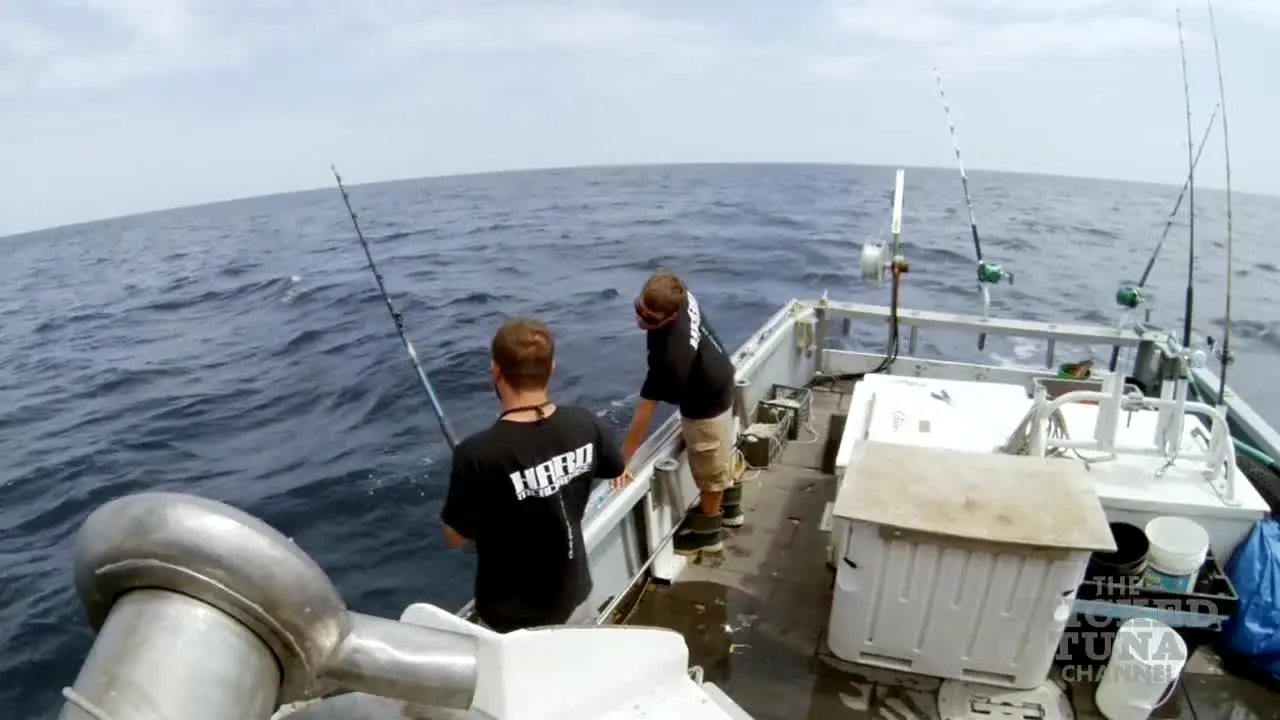 Wicked Tuna live