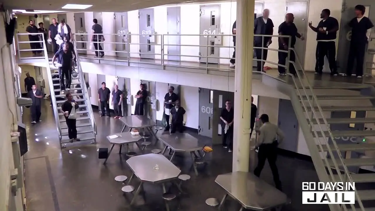 60 Days in Jail live