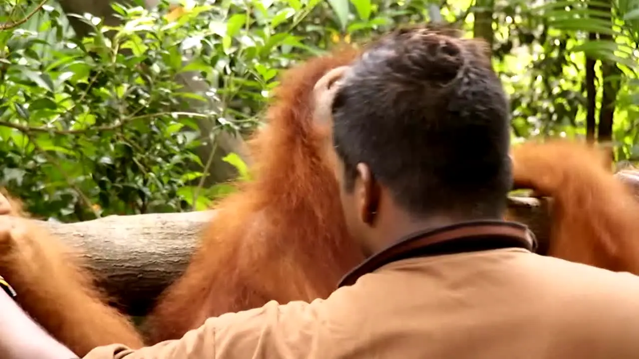 Jack Hanna in diretta