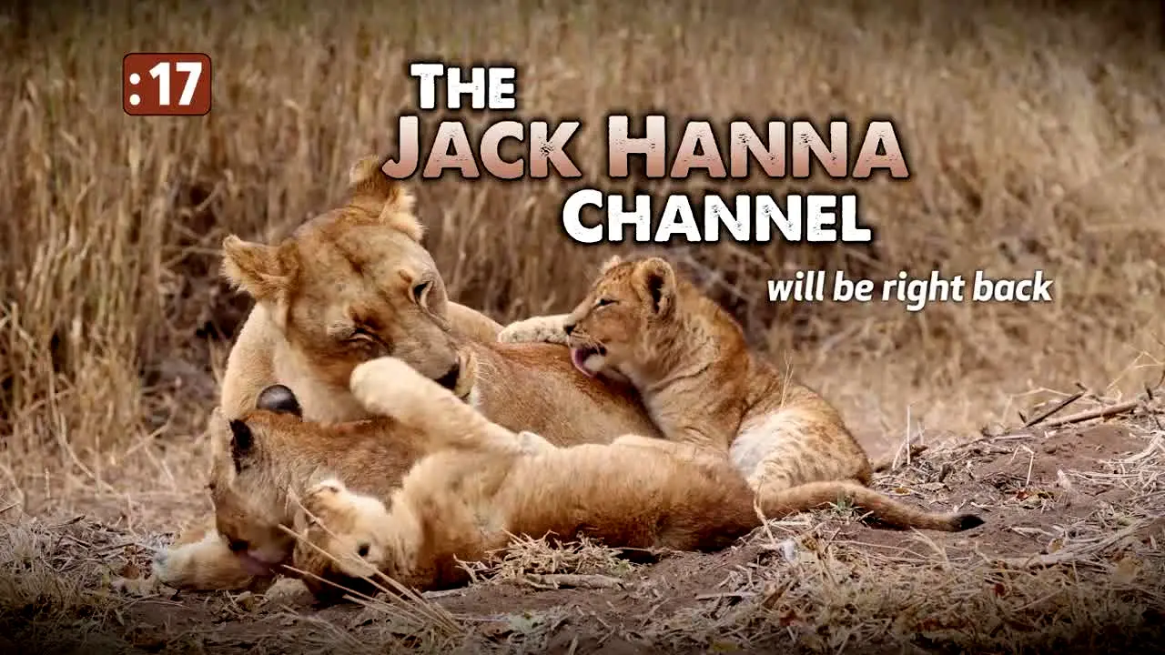 Jack Hanna ao vivo