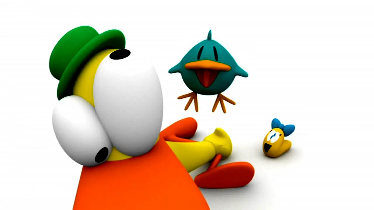 Pocoyo live