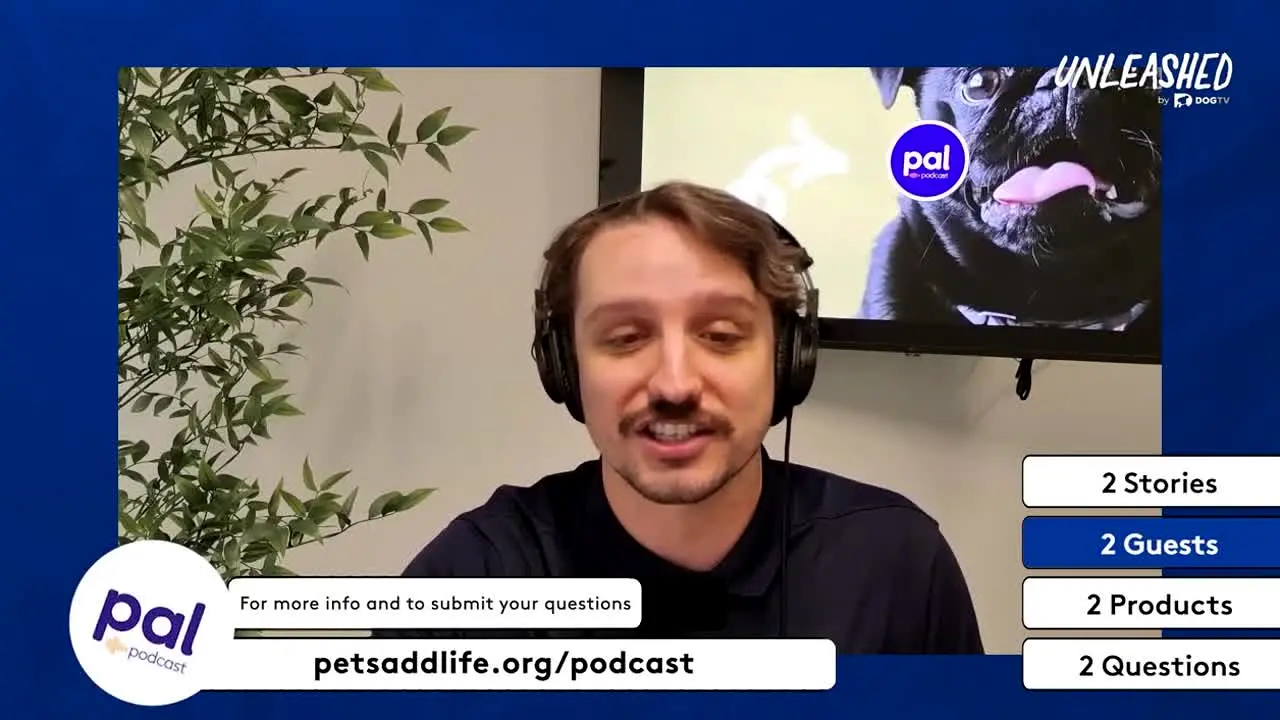 Unleashed by DOGTV in diretta