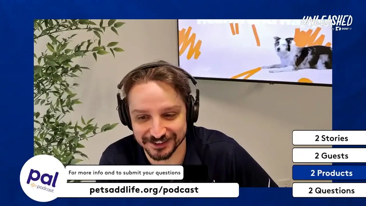 Unleashed by DOGTV — прямой эфир