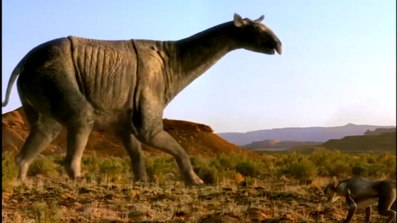Dinos 24/7 live