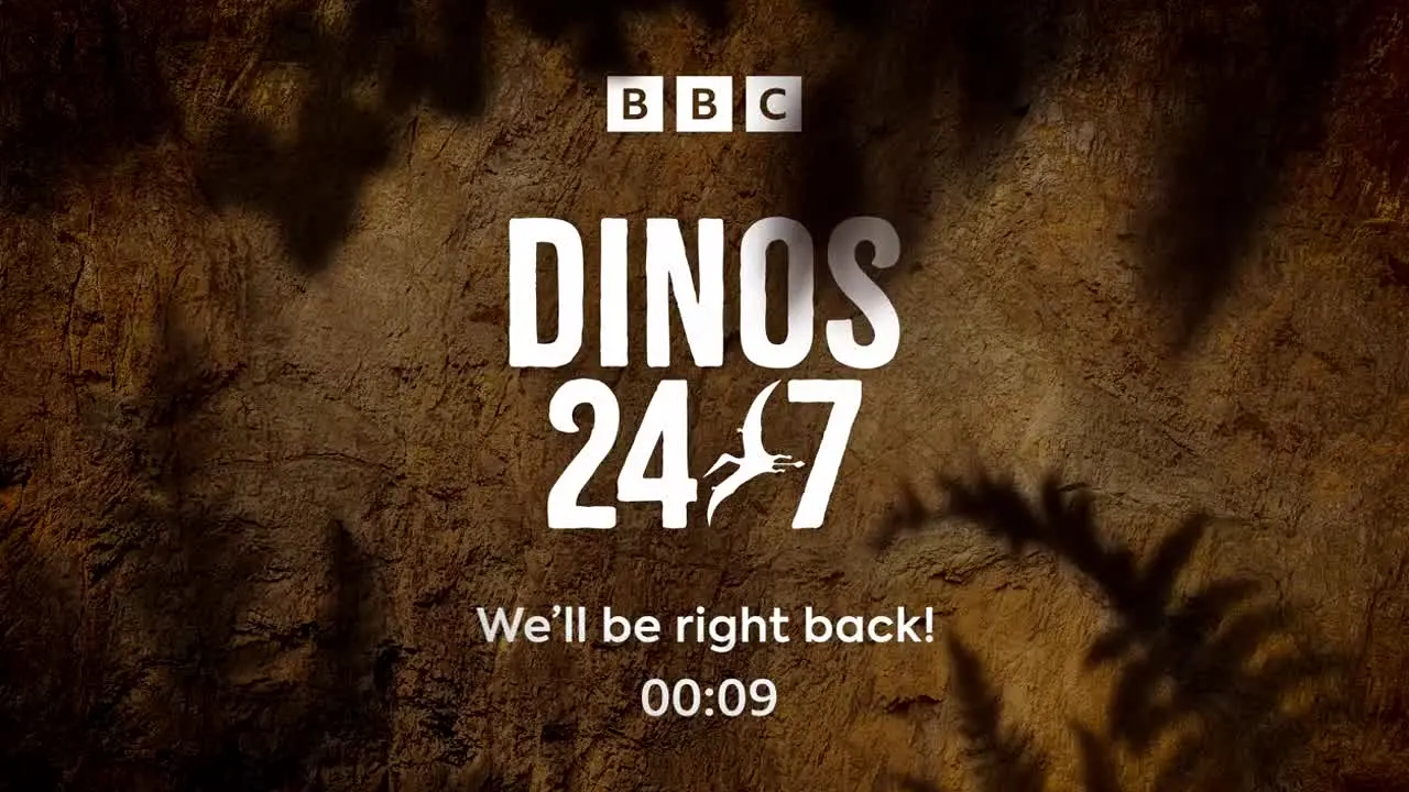 Dinos 24/7 en direct