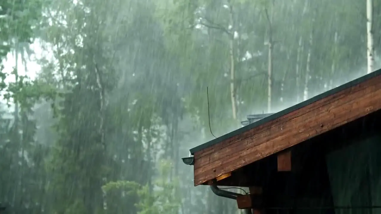 Rainy Day Vibes live