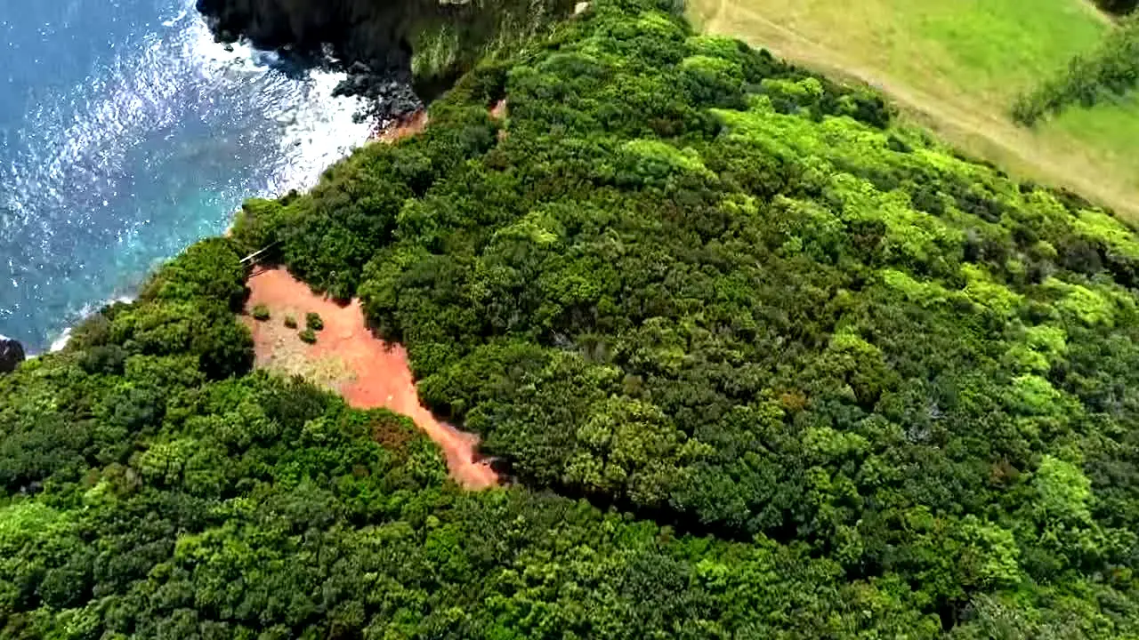 Island Vibes live