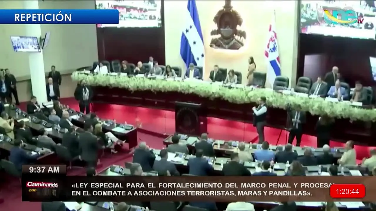 UNE TV ao vivo