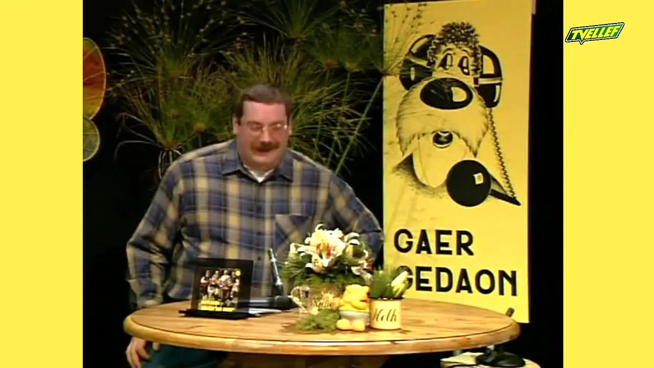 TV Ellef na żywo