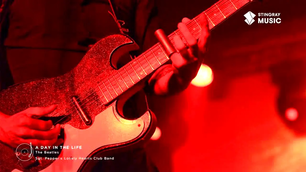 Stingray Classic Rock live