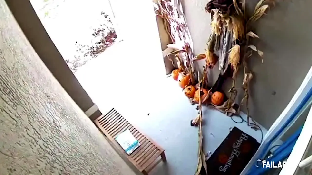 FailArmy na żywo