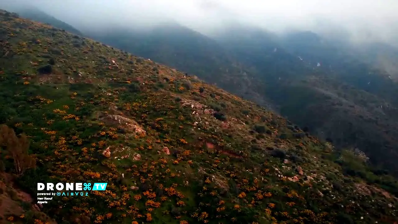 Drone TV .FR live
