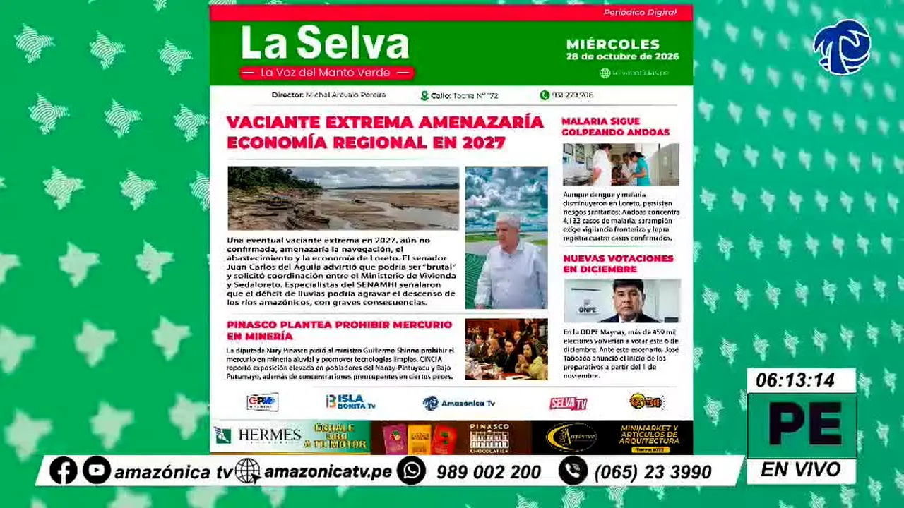 Amazonica TV na żywo