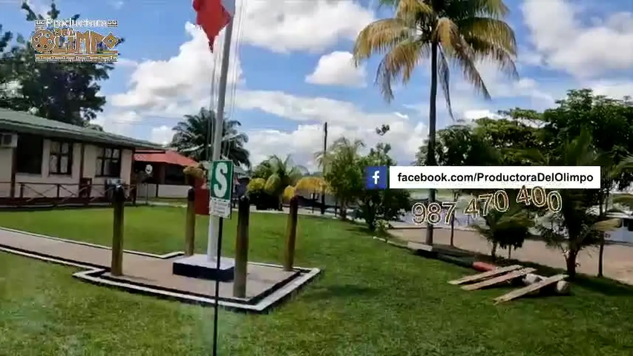 Amazonica TV live