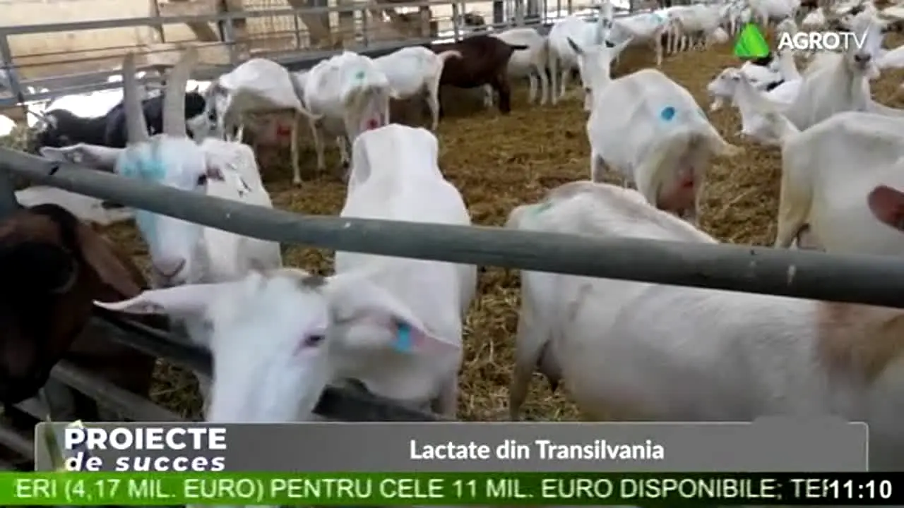 Agro TV en direct