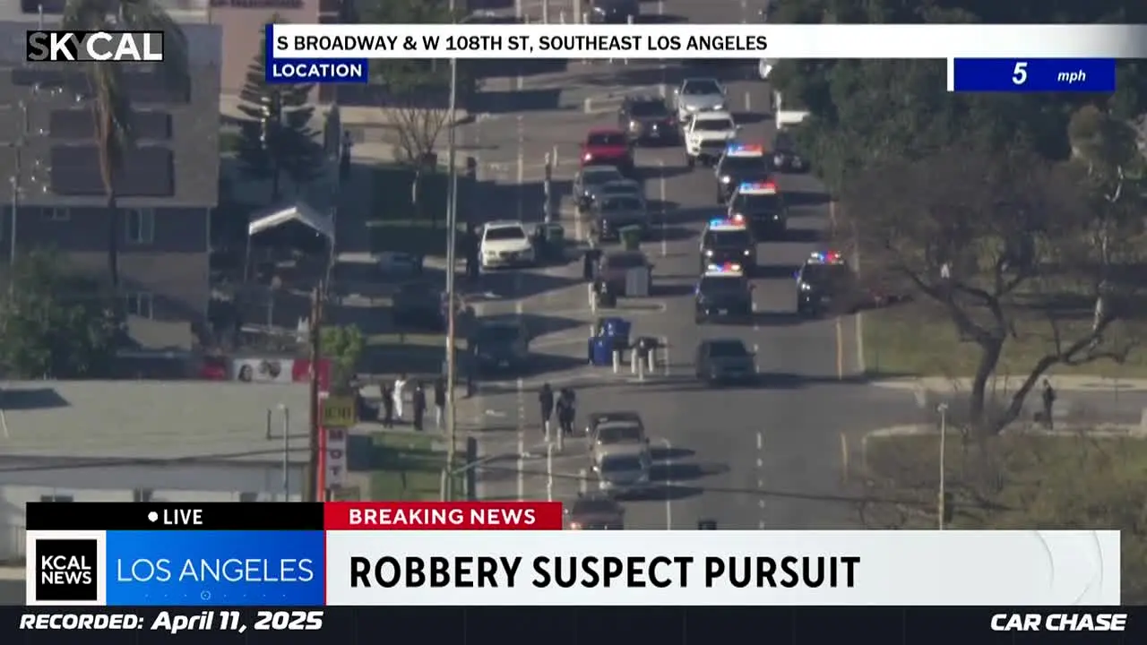 Car Chase en direct